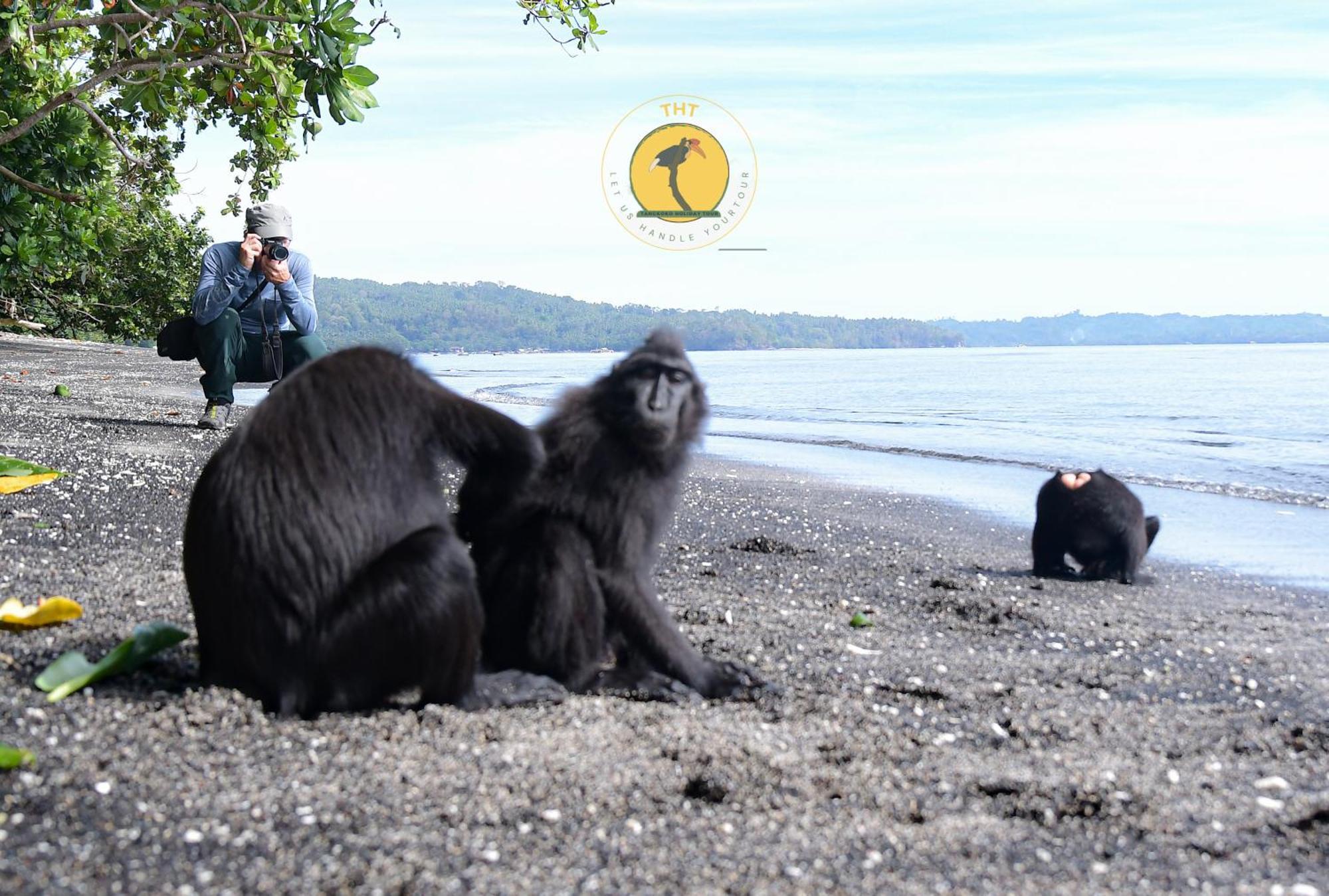 Tangkoko Backpacker Home Stay Rinondoran Exterior photo